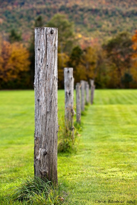 Fence_Byron_ME_2009oct02_0017_Tag