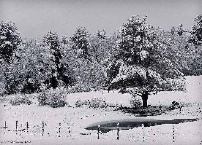 Winter_Scene_Auburn_Horse_2010feb28_104_Tagged